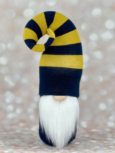 Navy and Gold School/Team Gnome