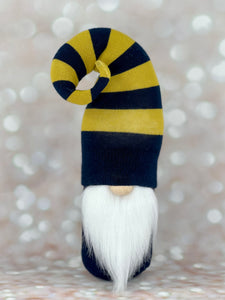 Navy and Gold School/Team Gnome